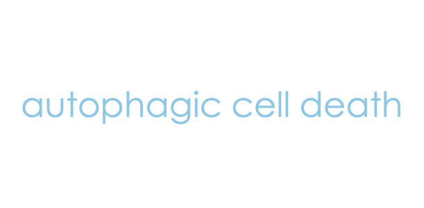 Autophagic cell death