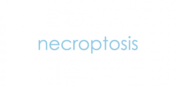 Necroptosis