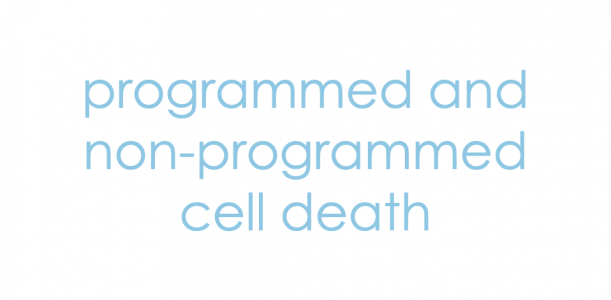 Programmed and non-programmed cell death
